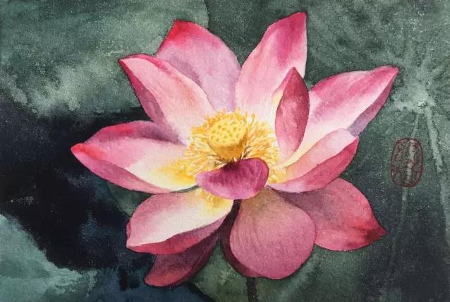 水彩夏天清新森系初学者荷花,水彩荷花画教程入门