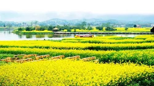 潼南赏花攻略全集,重庆赏花好去处潼南花岩梨花海