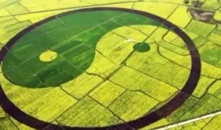 潼南赏花攻略全集,重庆赏花好去处潼南花岩梨花海