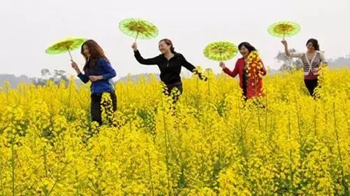 潼南赏花攻略全集,重庆赏花好去处潼南花岩梨花海