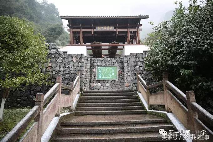 崀山鲸鱼闹海视频,不见鲸鱼的全部小说