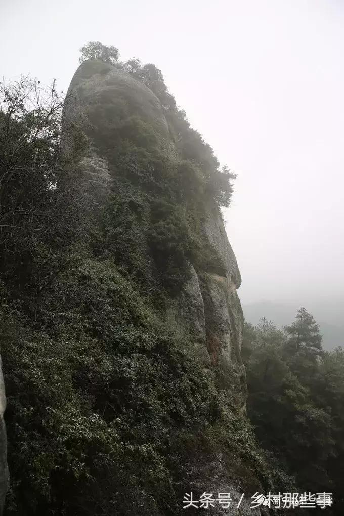 崀山鲸鱼闹海视频,不见鲸鱼的全部小说