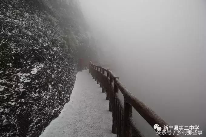 崀山鲸鱼闹海视频,不见鲸鱼的全部小说