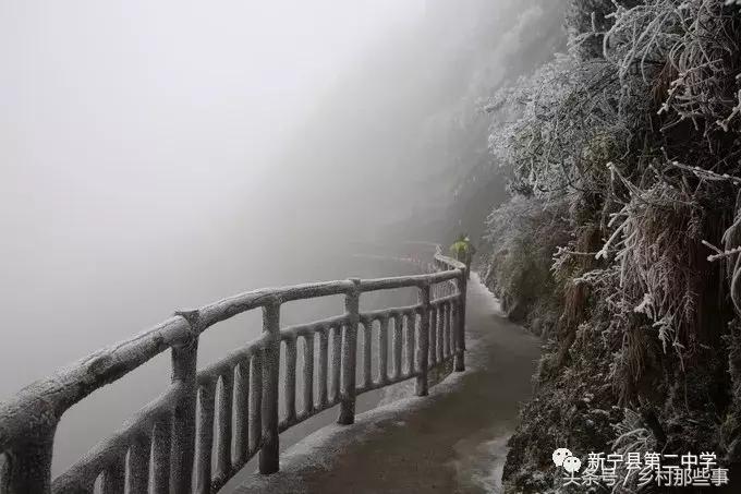 崀山鲸鱼闹海视频,不见鲸鱼的全部小说