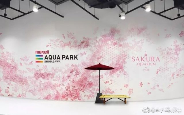 2018最美樱花限定来袭，都是圈钱的祖宗啊