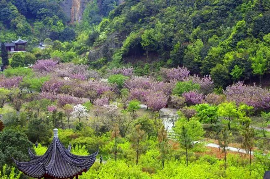 这吃货最爱的皇冠级港城，不仅美色倾城，更有万人蓝海沙滩在等你！