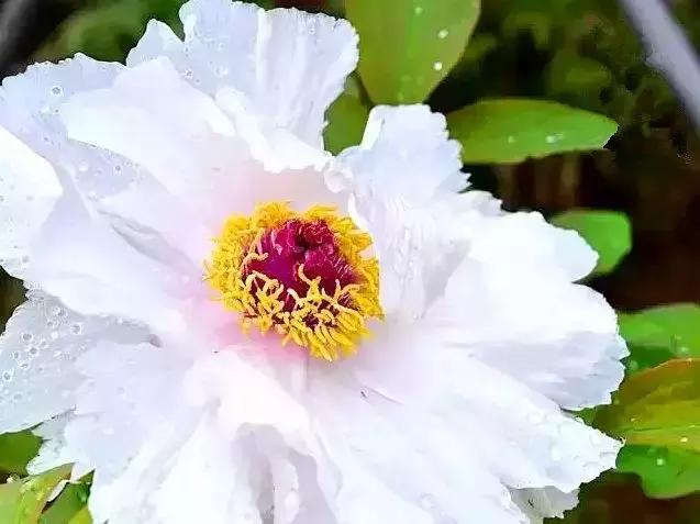 这吃货最爱的皇冠级港城，不仅美色倾城，更有万人蓝海沙滩在等你！