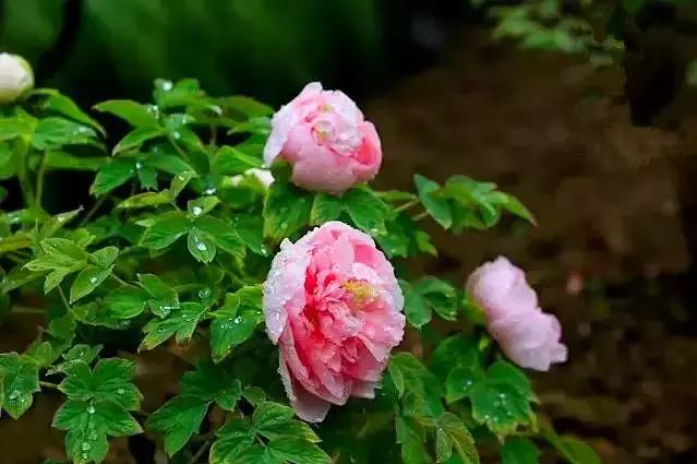 这吃货最爱的皇冠级港城，不仅美色倾城，更有万人蓝海沙滩在等你！