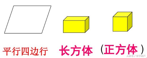 一年级数学下册期中专项复习资料,西师版一年级数学下册期中测试卷