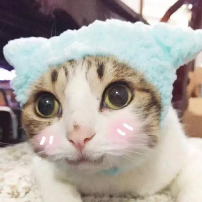 那些超级便宜的化妆品是正品吗,这些便宜又好用的国货