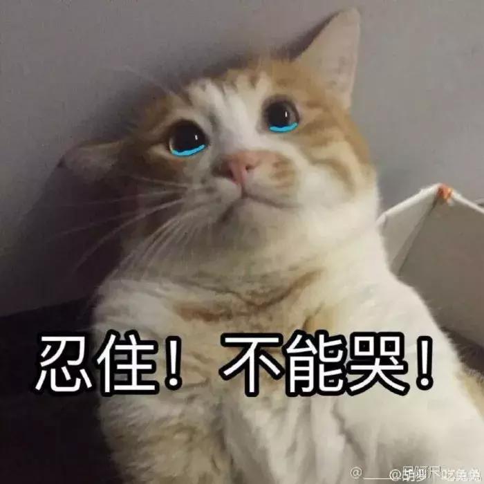 那些超级便宜的化妆品是正品吗,这些便宜又好用的国货