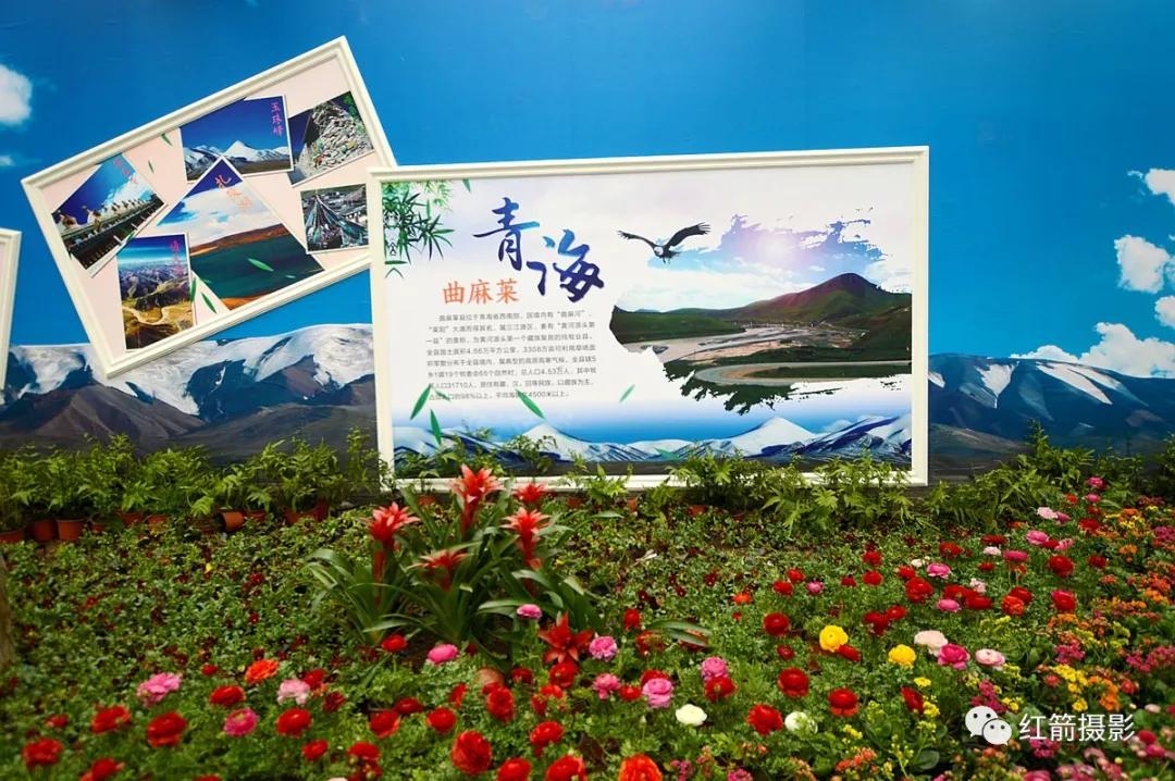 农业嘉年华北京,北京农业嘉年华延期