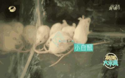 干粉灭火器干粉喷到身上怎么洗,电柜着火直接用干粉灭火器喷吗