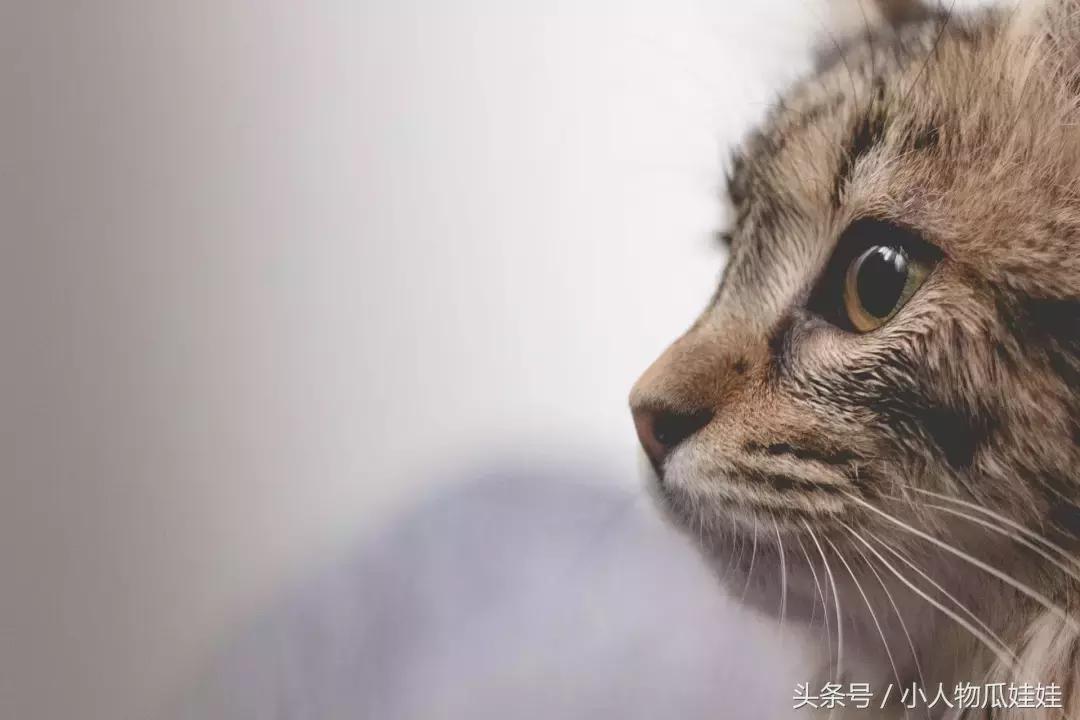 你的微信名字早已暴露了你的一切,你的微信暴露了你的人生