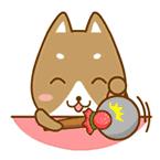 万兴城招聘,万兴工业园开发区招聘信息