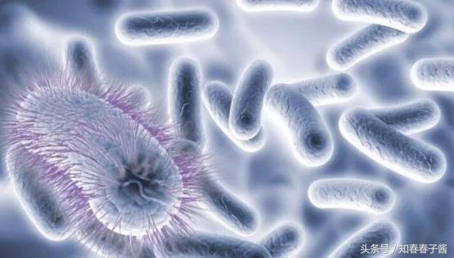 小便过后用湿巾擦可以吗,上完小便需要用纸巾擦吗