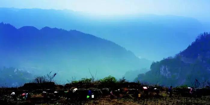 30部四月新片，6部必刷，9部滚粗！