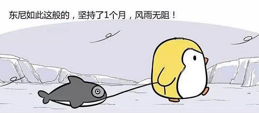 伟哥传授把妹秘籍——巴甫洛夫把妹法