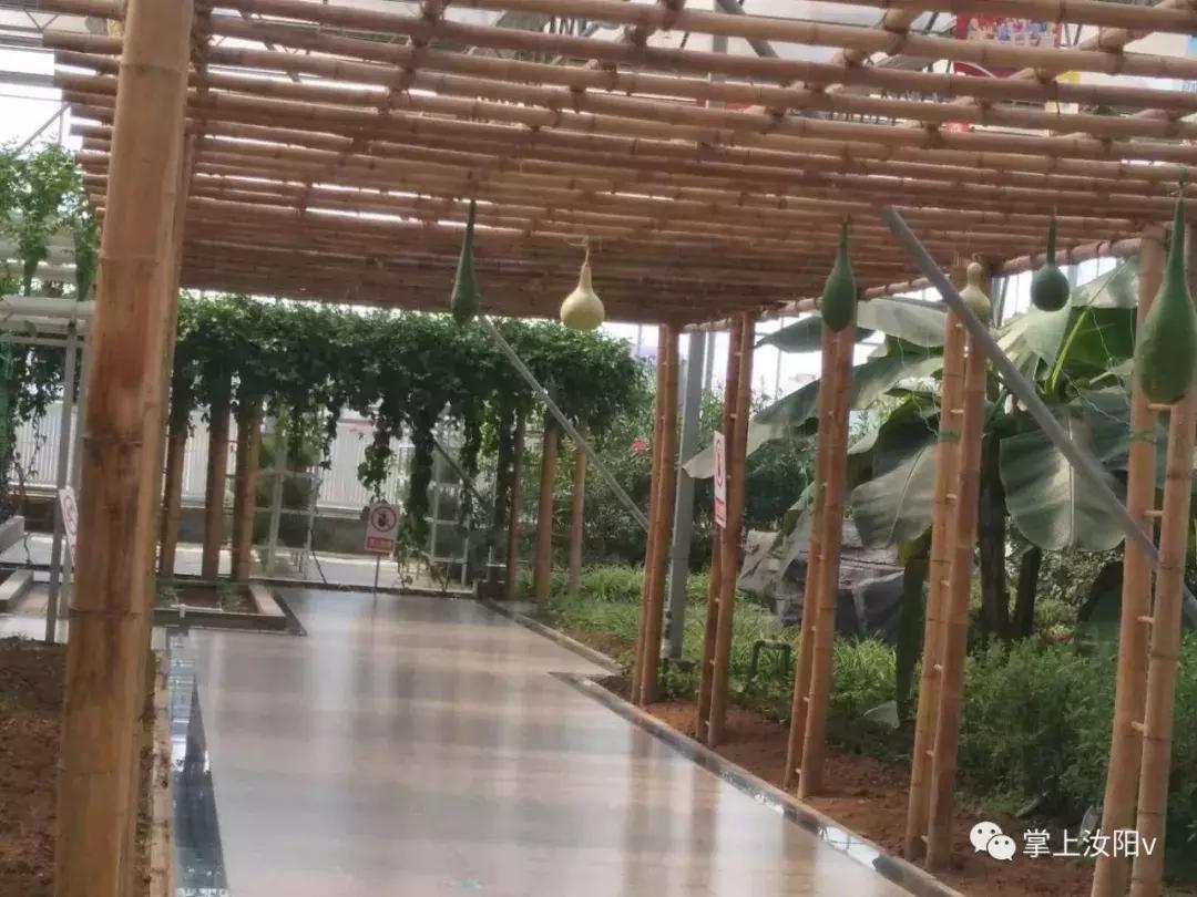 您好，我是汝阳，向全世界发出邀请……