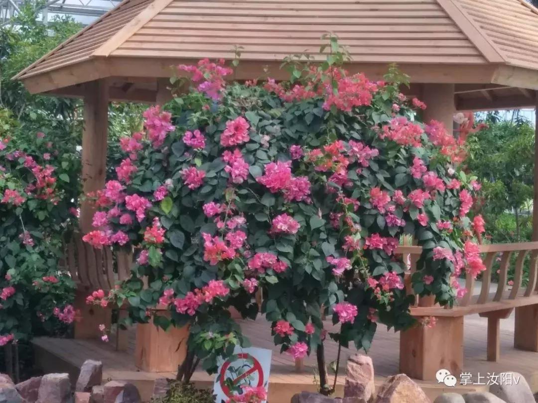 您好，我是汝阳，向全世界发出邀请……