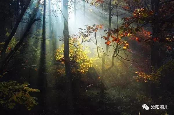 您好，我是汝阳，向全世界发出邀请……