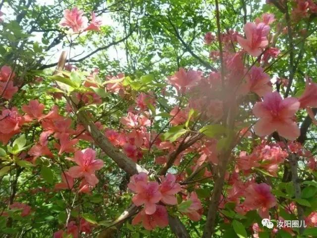 您好，我是汝阳，向全世界发出邀请……