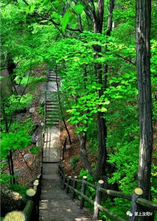 您好，我是汝阳，向全世界发出邀请……