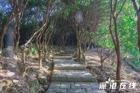 深圳塘朗山穿越攻略,深圳塘朗山爬山什么时候去比较好