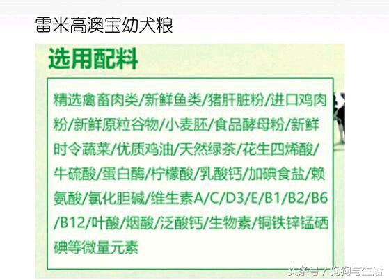 鍥戒骇鍗佸ぇ鏀惧績鐙楃伯鍝佺墝,鍥戒骇k9鐙楃伯璇勬祴