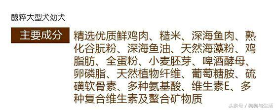 鍥戒骇鍗佸ぇ鏀惧績鐙楃伯鍝佺墝,鍥戒骇k9鐙楃伯璇勬祴