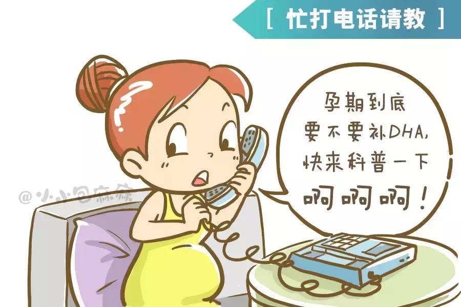 孕妇专用dha靠谱吗,dha为什么会一孕傻三年