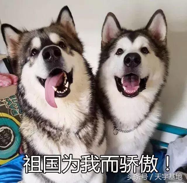 哥，您看见我*眼屁**了吗