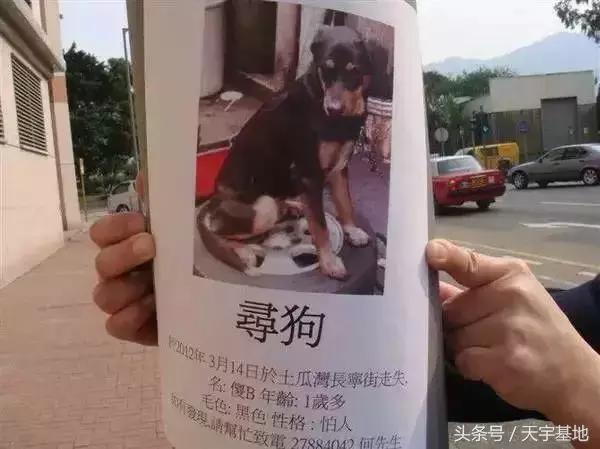 哥，您看见我*眼屁**了吗