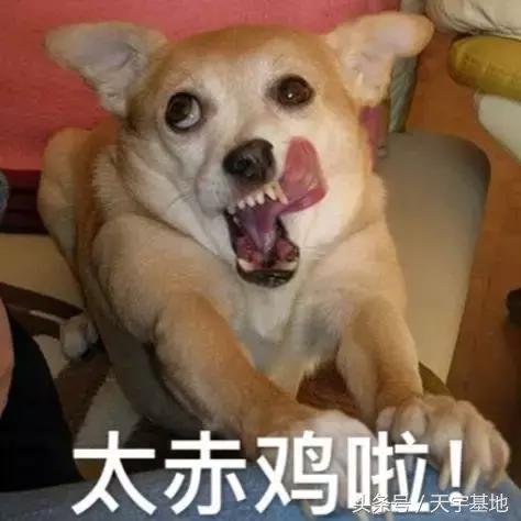 哥，您看见我*眼屁**了吗