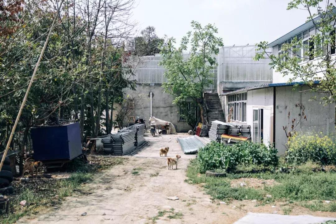 成都宠物殡葬师体验,宠物殡葬全过程家人哭了