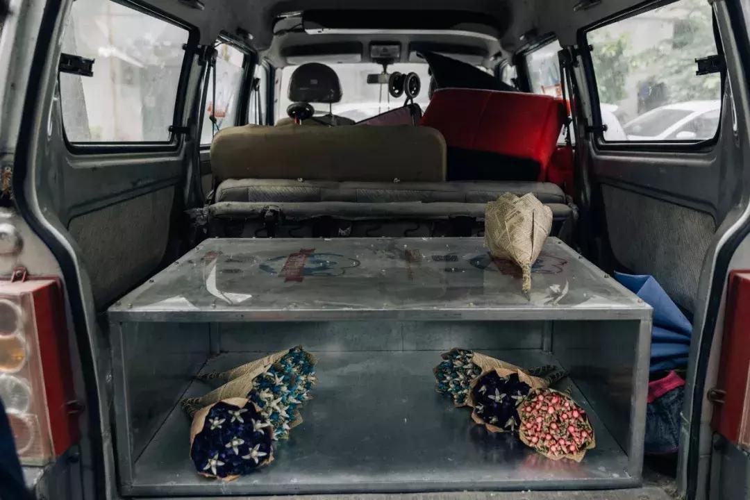 成都宠物殡葬师体验,宠物殡葬全过程家人哭了