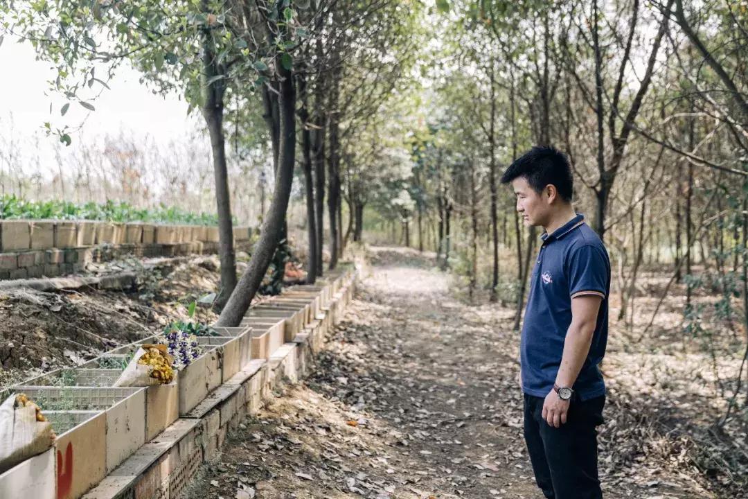 成都宠物殡葬师体验,宠物殡葬全过程家人哭了