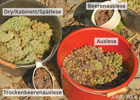 葡萄酒常见的10个误解你有几个,葡萄酒的那些误区你了解多少