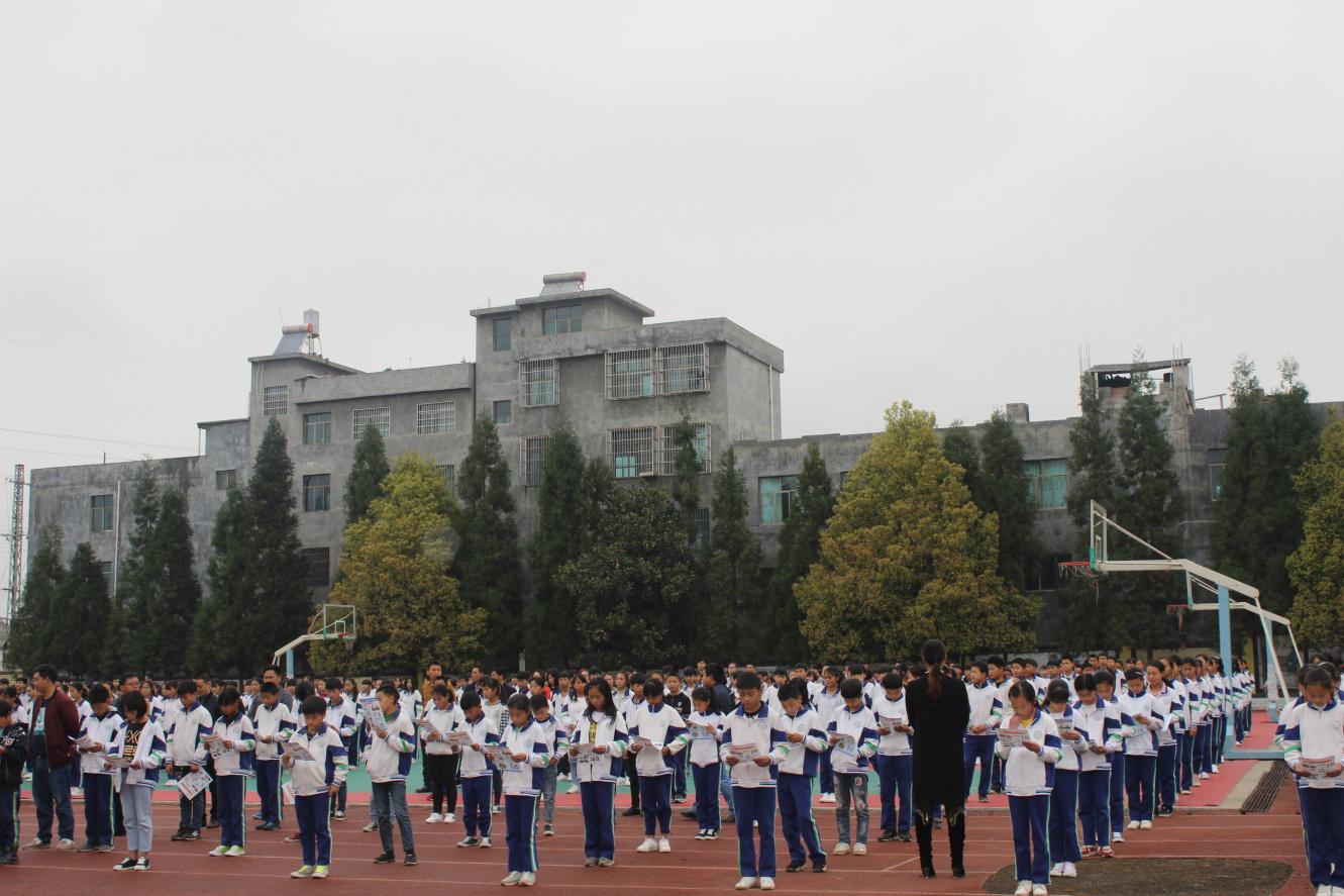 奋进挥笔书教育联袂安全保平安“做自己的首席安全官——平安校园行青山镇”主题活动启动仪式