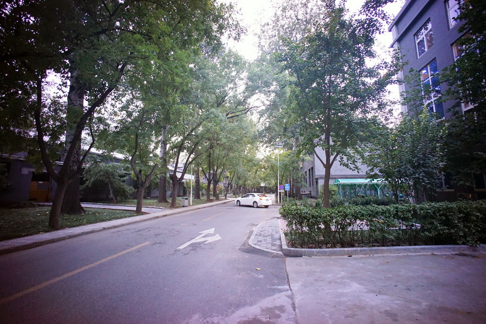 真力有源监听音箱评测 (真力监听音箱对比测评)