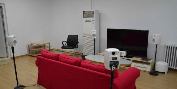 真力有源监听音箱评测 (真力监听音箱对比测评)