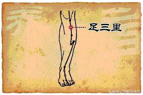 分享中医针灸基础知识，每日一穴：肚腹三里留