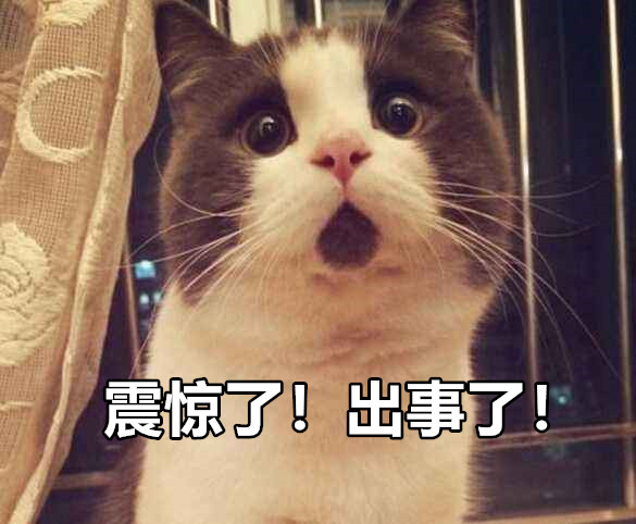 滞销之王I满满遗憾的Verna，见证北京现代的作死之路