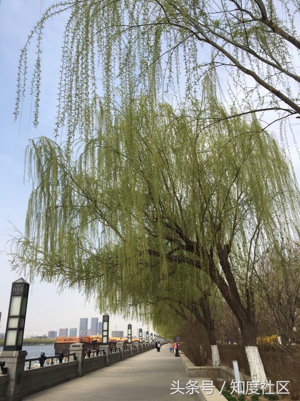 春天小孩爱长痘是怎么回事,宝宝脸上长痘痘的原因和解决方法