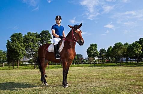 武汉地铁2号线线路图完整版,武汉地铁2号线沿途有啥好吃的
