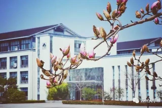 嗨，苏大同学，这节课我们聊一个千万级项目！