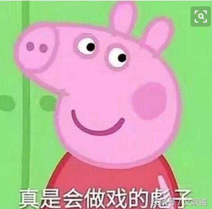 高云翔被曝涉嫌性侵被捕,高云翔性侵案件中女受害者