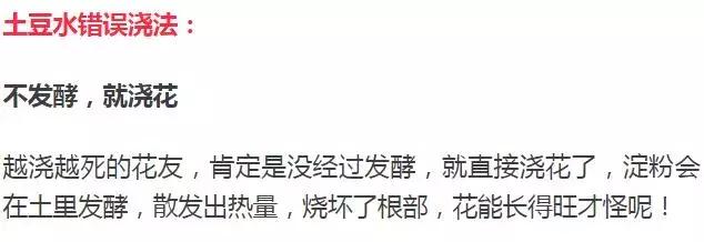 淘米水浇花容易起虫子吗,淘米水浇花会生虫子怎么办
