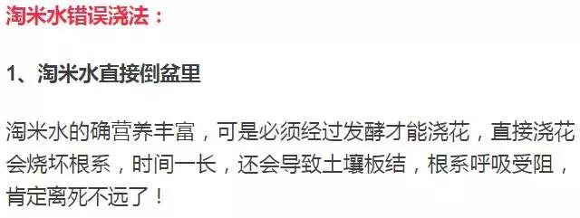 淘米水浇花容易起虫子吗,淘米水浇花会生虫子怎么办