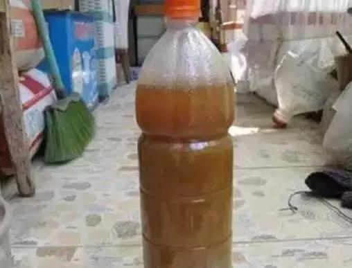 淘米水浇花容易起虫子吗,淘米水浇花会生虫子怎么办